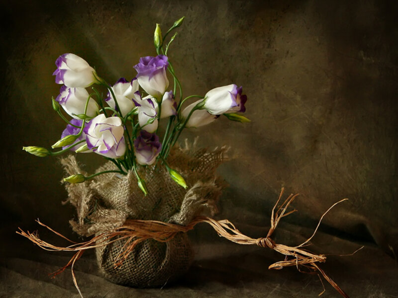 Purple and White Flowers — Brown