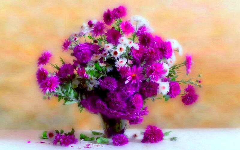 Purple and White Flowers — Calm, Digital Art