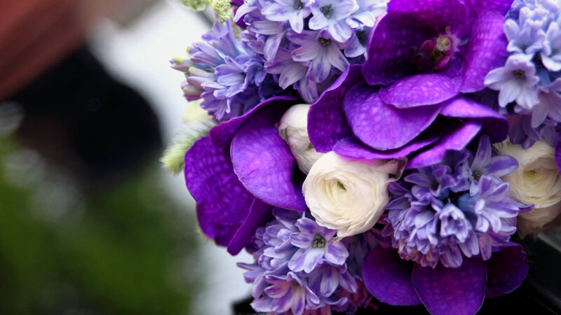 Purple and White Flowers — Calm, Photograph, Bouquet, Greenery