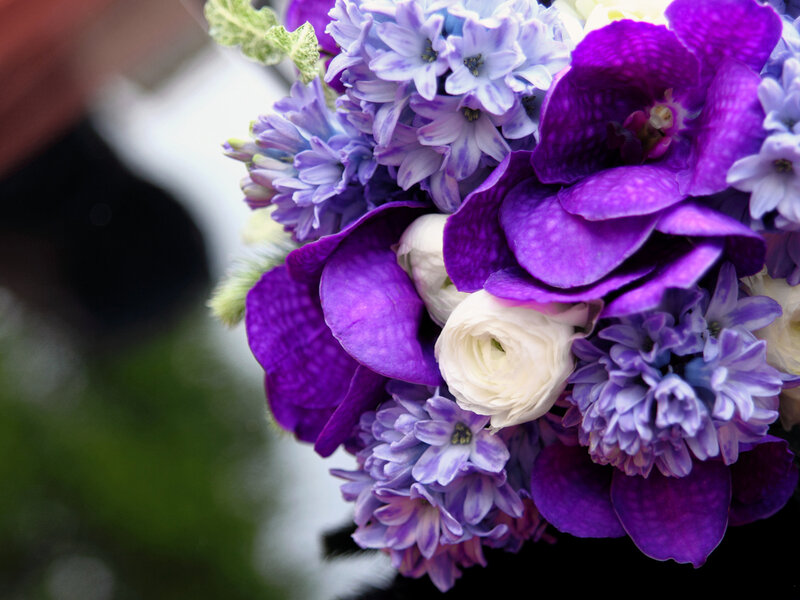 Purple and White Flowers — Calm, Photograph, Bouquet