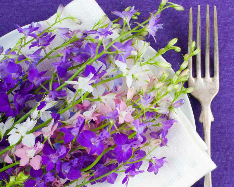 Purple and White Flowers — Calm, Photograph, Fork
