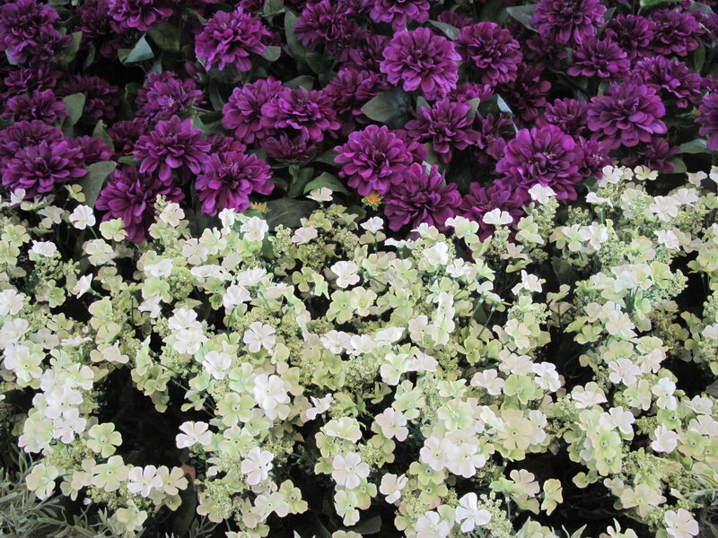 Purple and White Flowers — Calm, Photograph, Leaves