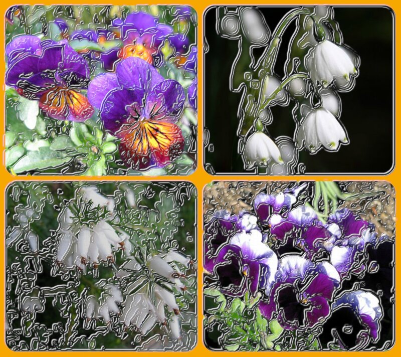 Purple and White Flowers — Calm, Spring, Digital Art