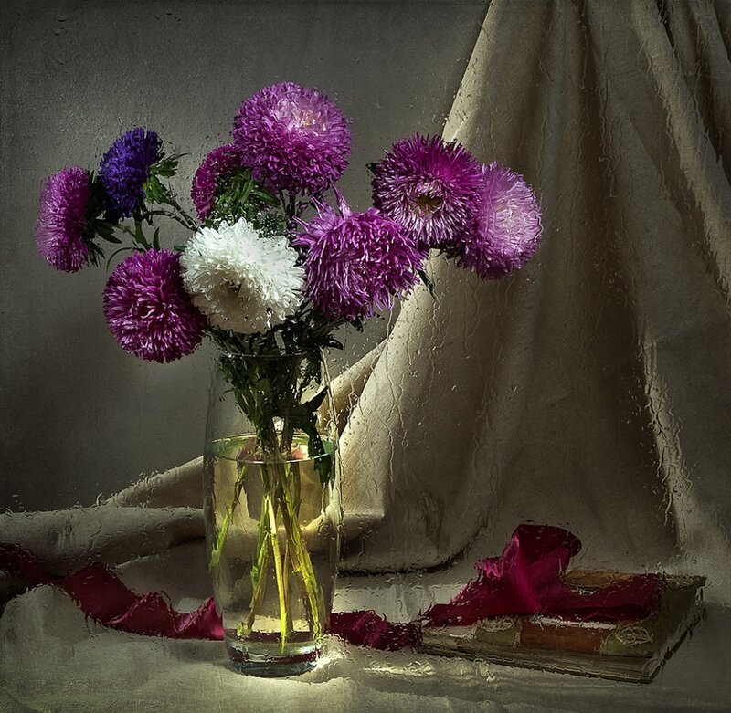 Purple and White Flowers — Dramatic
