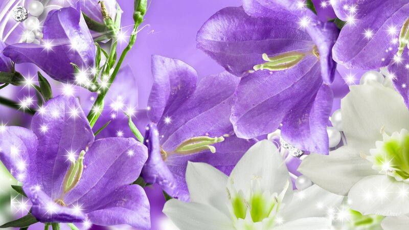Purple and White Flowers — Dreamy, Digital Art