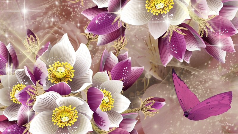 Purple and White Flowers — Dreamy