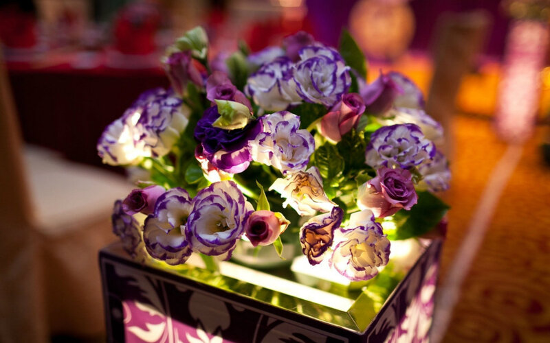 Purple and White Flowers — Elegant, Night