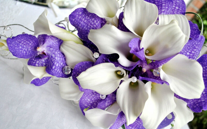 Purple and White Flowers — Elegant, Photograph, Calla Lilies, Orchids