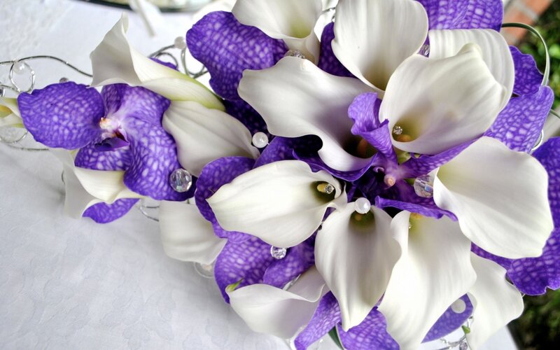 Purple and White Flowers — Elegant, Photograph, Calla Lilies