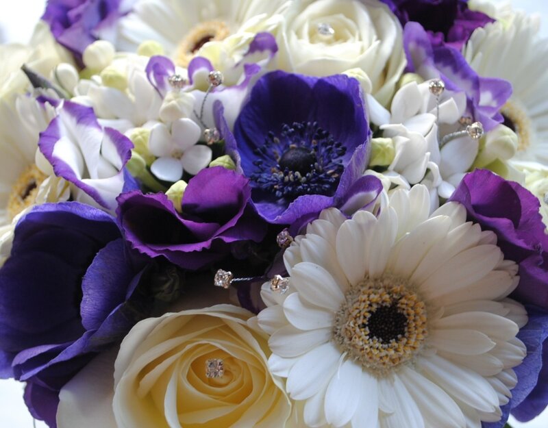 Purple and White Flowers — Elegant, Photograph