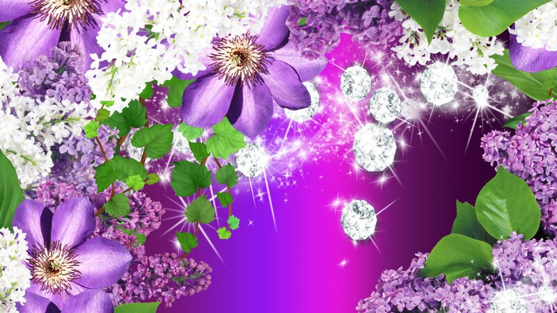 Purple and White Flowers — Festive