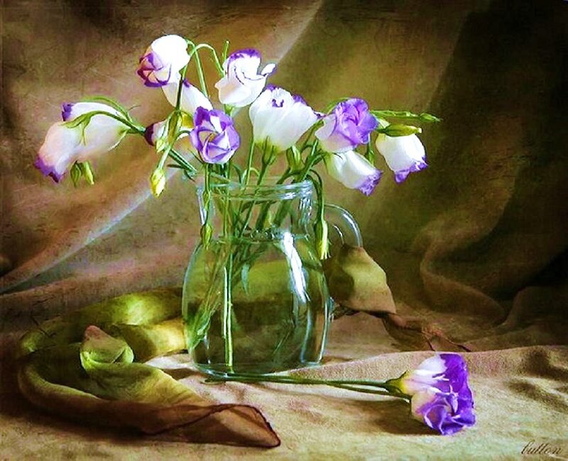purple and white flowers in a vase