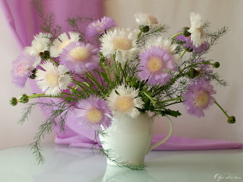 purple and white flowers in a vase