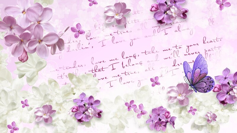 Purple and White Flowers — Pink, Romantic