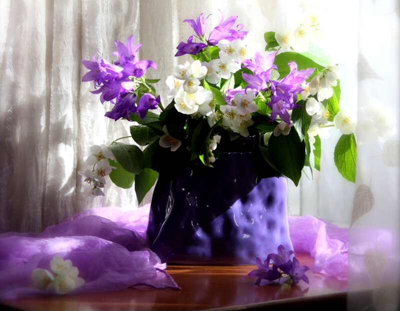Purple and White Flowers — Serene, Morning, Photograph