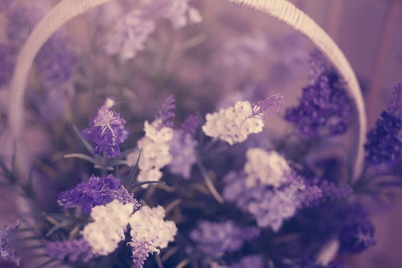 Purple and White Flowers — Serene, Photograph, Basket, Greenery