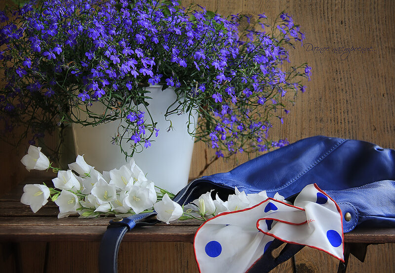Purple and White Flowers — Serene, Photograph, Blue Bag