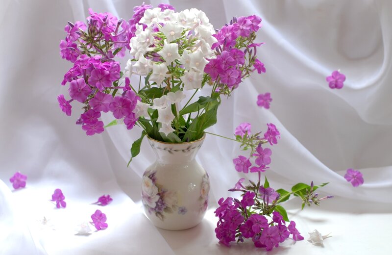 Purple and White Flowers — Serene, Photograph, Vase, Petals