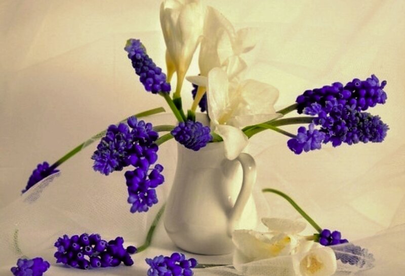 Purple and White Flowers — Serene, Photograph, Vase, White Cloth