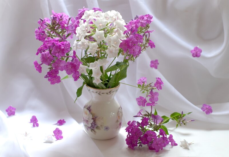 Purple and White Flowers — Serene, Photograph, Vase, White Fabric