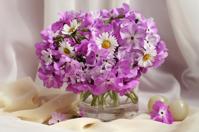 Purple and White Flowers — Serene