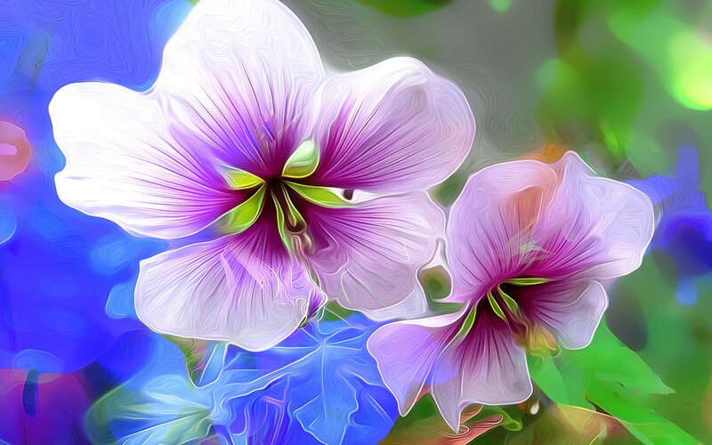 Purple and White Flowers — Vibrant, Digital Art, Green Leaves
