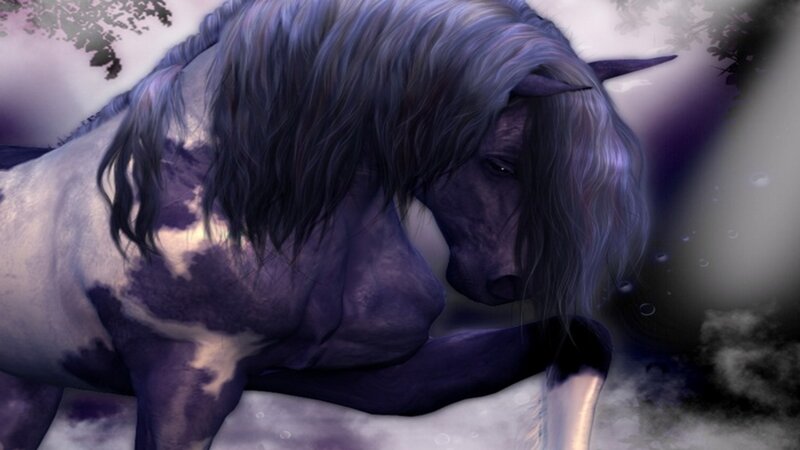 Purple and White Horse
