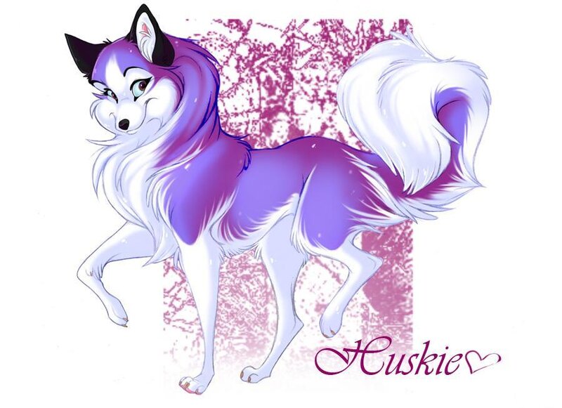 Purple and White Husky