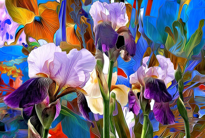 Purple and White Irises — Blue, Vibrant