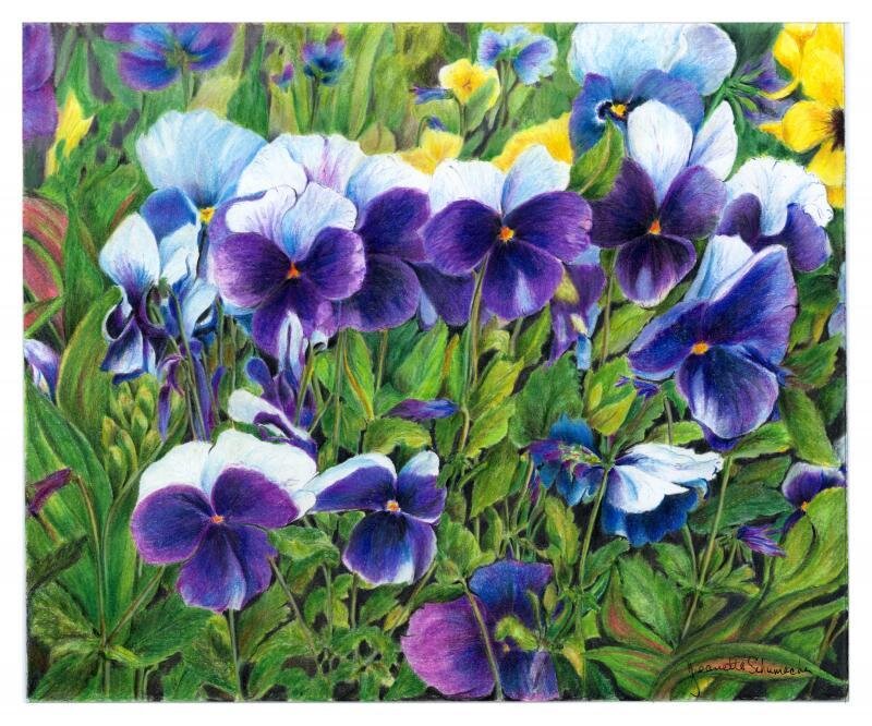 Purple and White Pansies — Serene, Spring, Painting