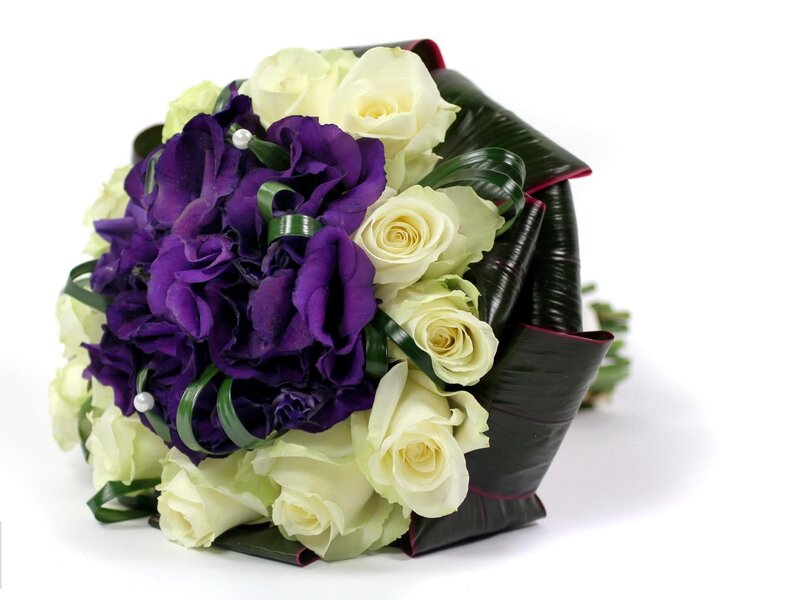 Purple and White Roses — Elegant, Photograph