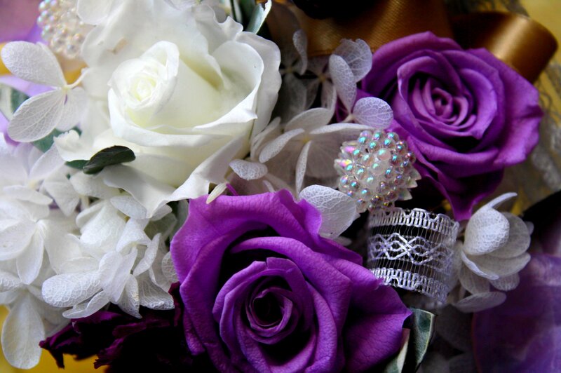 Purple and White Roses — Elegant