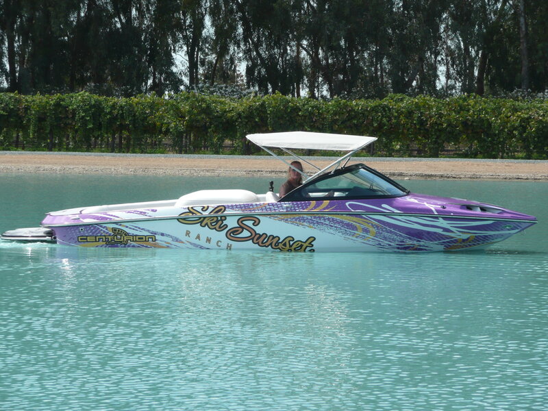 Purple and White Speedboat