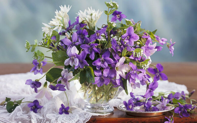 Purple and White Violets — Serene, Spring, Photograph, Glass Vase