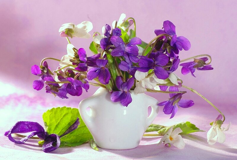 Purple and White Violets — Serene, Spring, Photograph, Vase