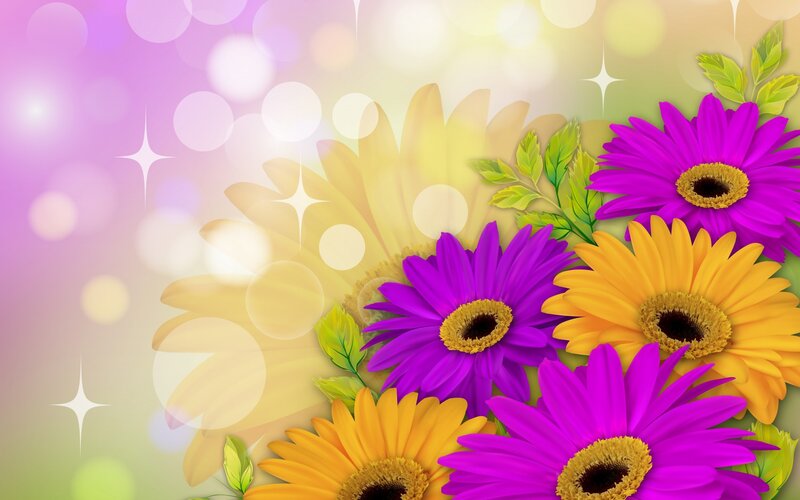 Purple and Yellow Daisies — Bright