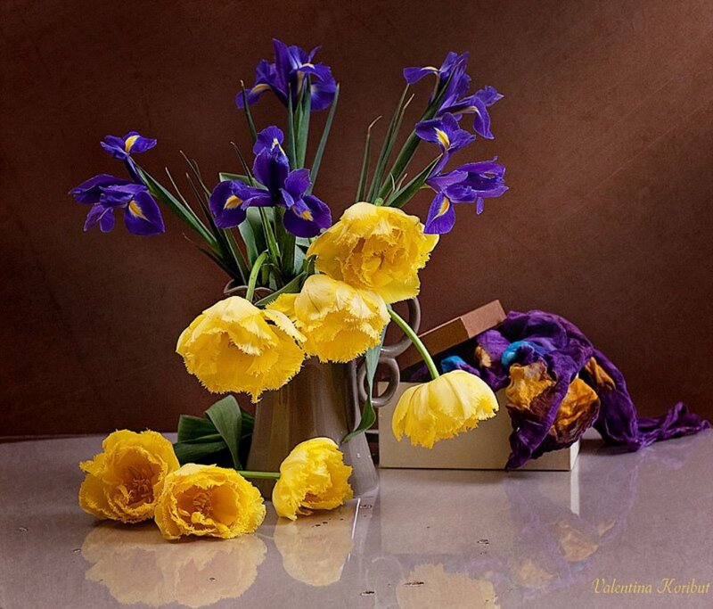 Purple and Yellow Flowers — Calm, Photograph