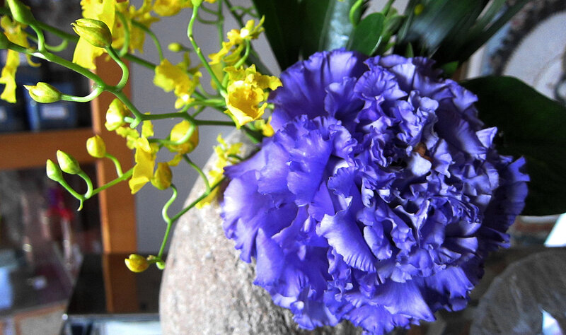 Purple and Yellow Flowers — Calm, Photograph, Vase