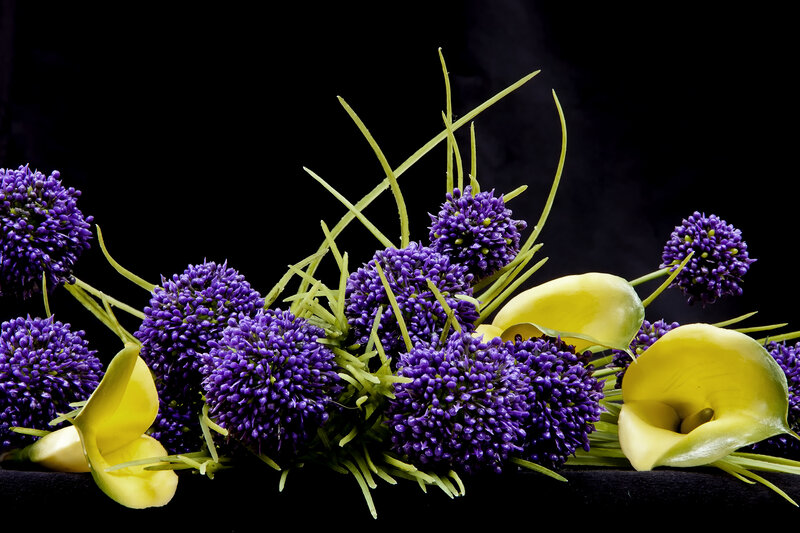 Purple and Yellow Flowers — Dramatic, Photograph