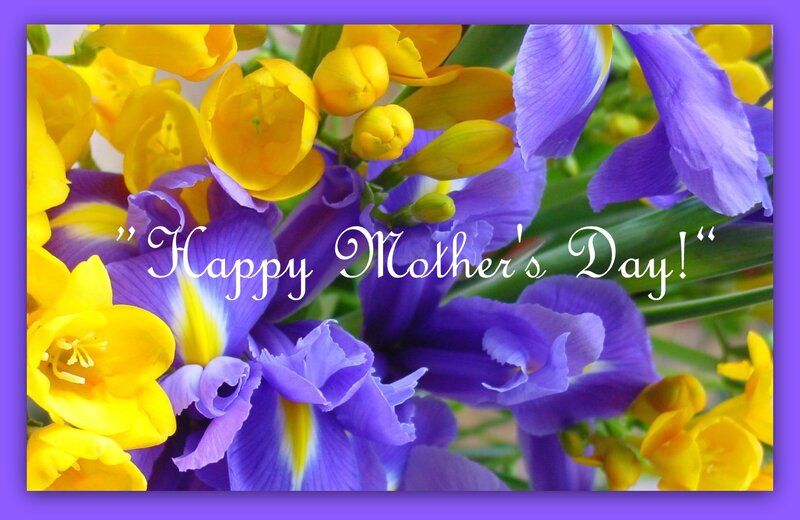 Purple and Yellow Flowers — Festive