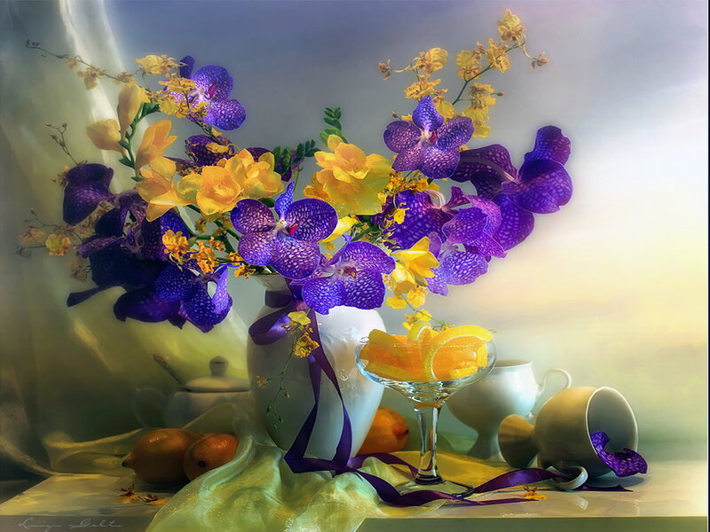 Purple and Yellow Orchids — Serene, Morning