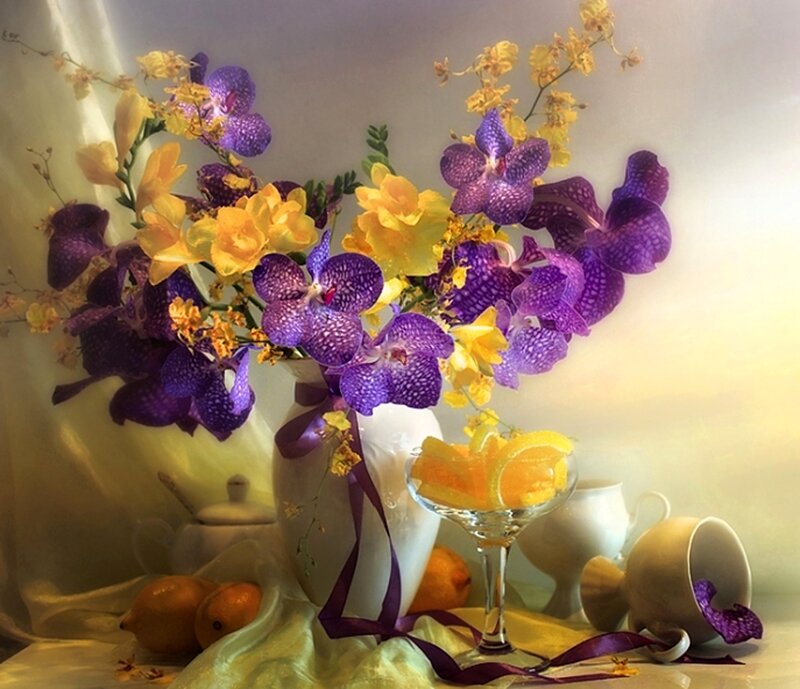 Purple and Yellow Orchids — Serene, Photograph