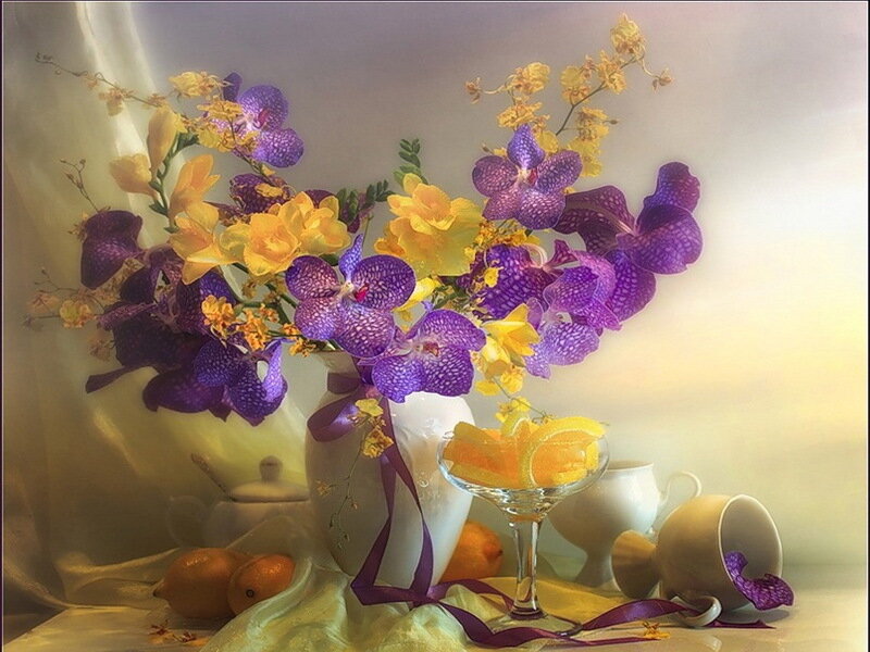 Purple and Yellow Orchids — Serene