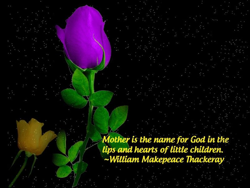 Purple and Yellow Roses