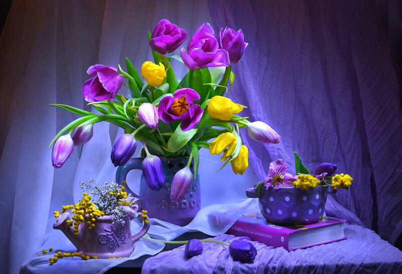 Purple and Yellow Tulips — Dramatic, Photograph