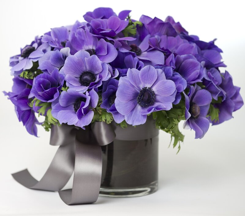 Purple Anemone Bouquet — Calm, Photograph