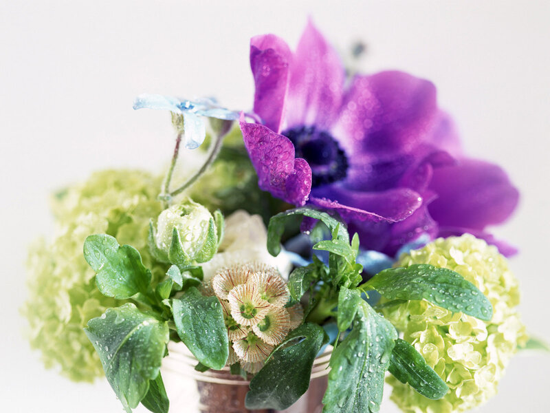 Purple Anemone Bouquet — Calm