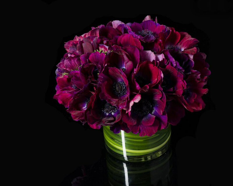 Purple Anemone Bouquet — Dramatic