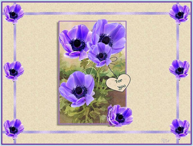 Purple Anemone Flowers — Calm, Illustration