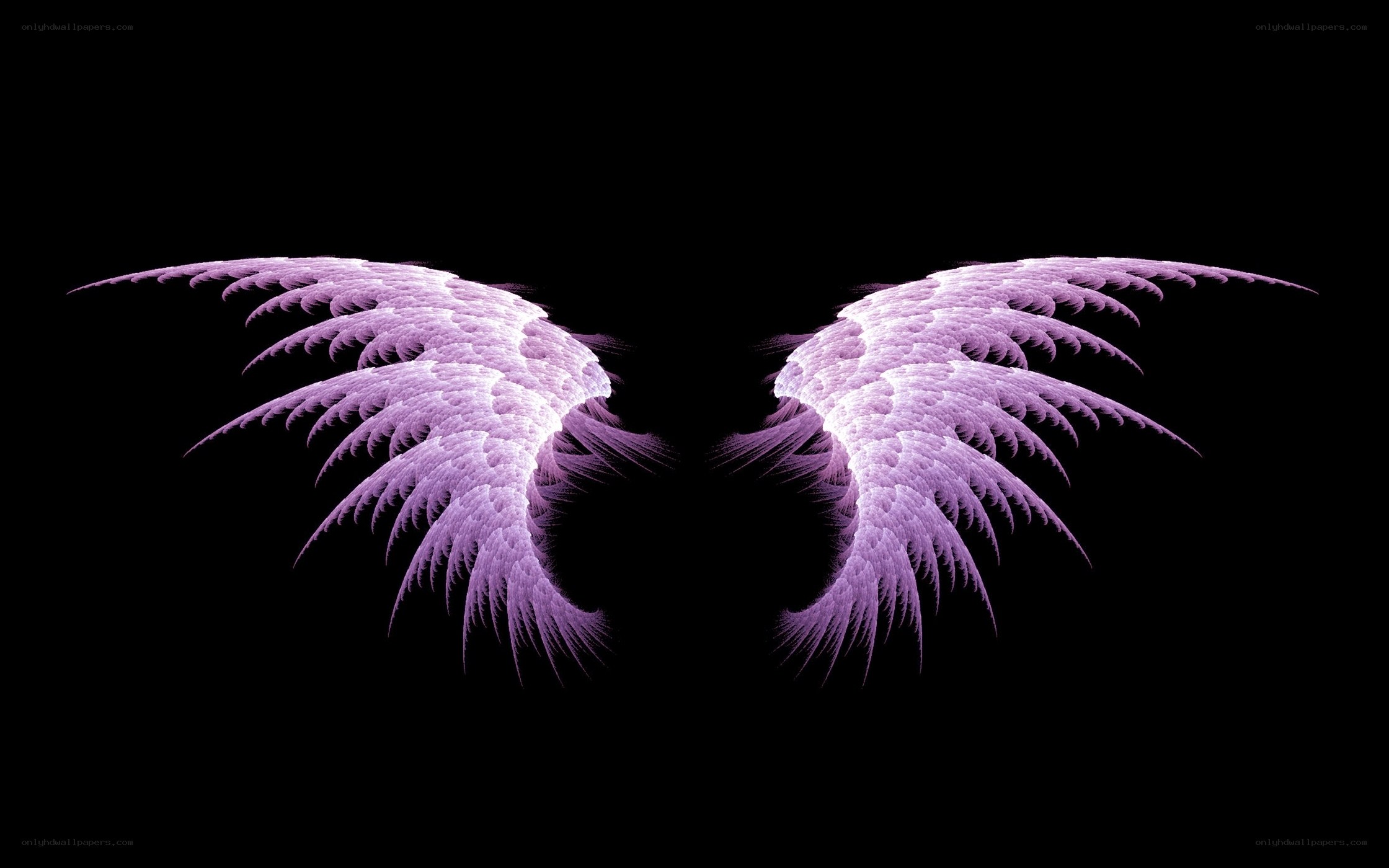 purple angel wings